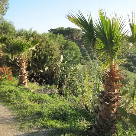 L'agave E La Palma Nana *